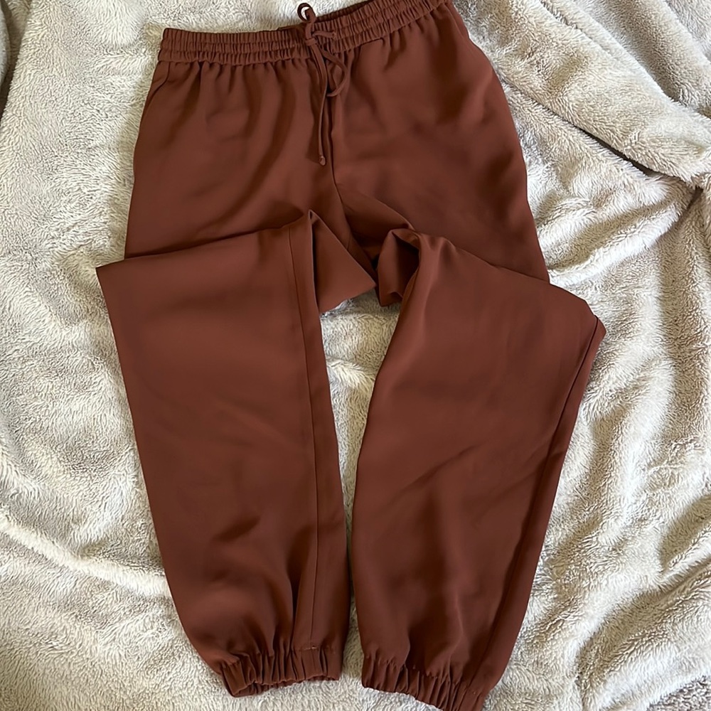 Express ankle pants